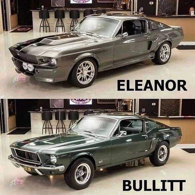 Eleanor or Bullitt?