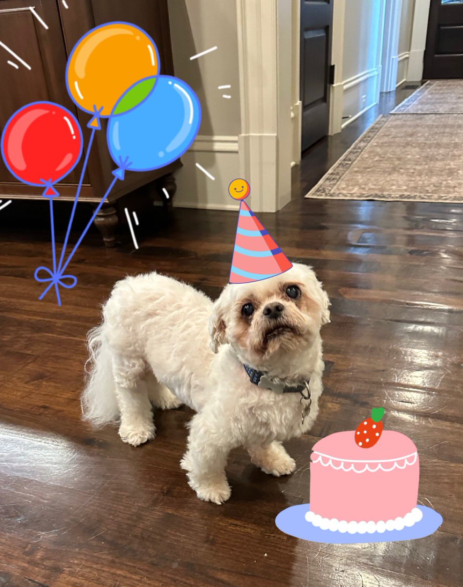 Celebrating my Gotcha Day (one day late - shh)! I know I look the same as I did when I came home to my humans 14 years ago. Let me know if you want to know my secrets to youthful fur
