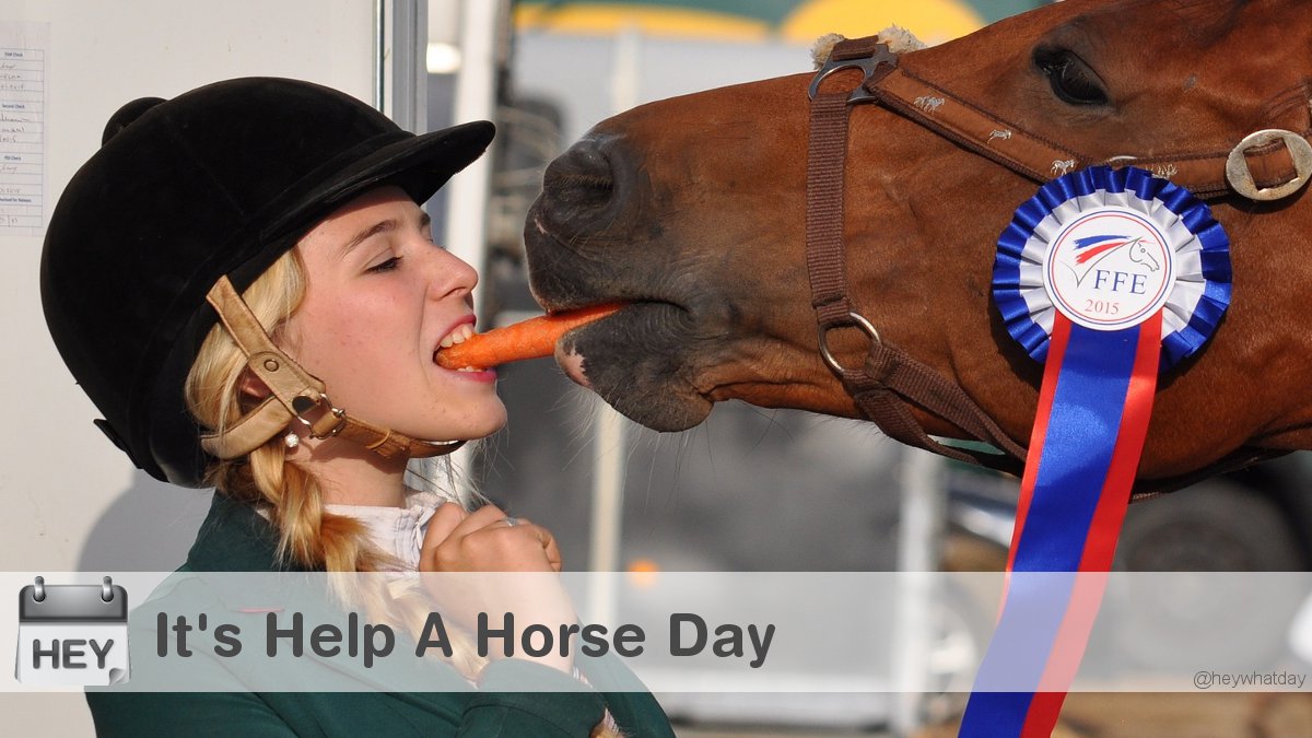 It's Help A Horse Day! 
#HelpAHorseDay #Carrot #NationalHelpAHorseDay