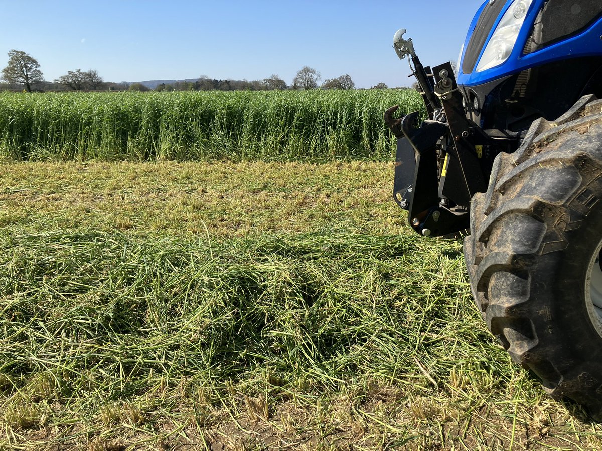 Middlehall farm tweet media