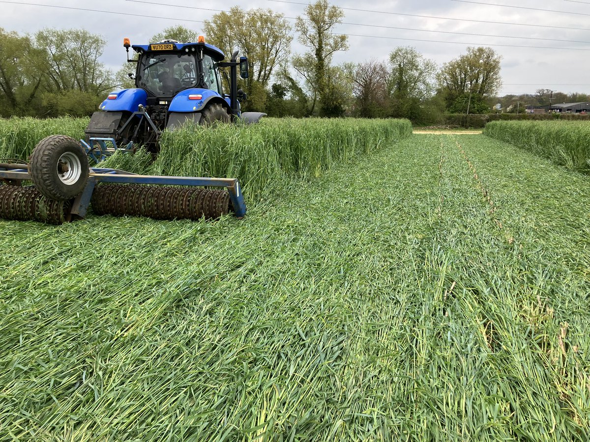 Middlehall farm tweet media