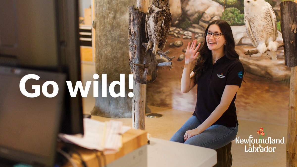Wild Outreach at #SalmonierNaturePark focuses on wildlife, biodiversity &amp; our natural environment &amp; is designed for the 
<a href="/NLESDCA/">NLESD</a> K-6 science curriculum. Book a visit from park staff or come to us virtually! Call 229-7888 or email salmoniernaturepark@gov.nl.ca. 
<a href="/EDU_GovNL/">Education and Early Childhood Development</a> #GovNL