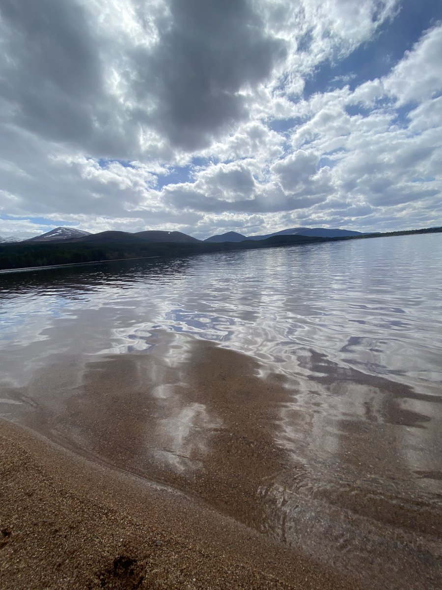 💀Holly 🖤 tweet media