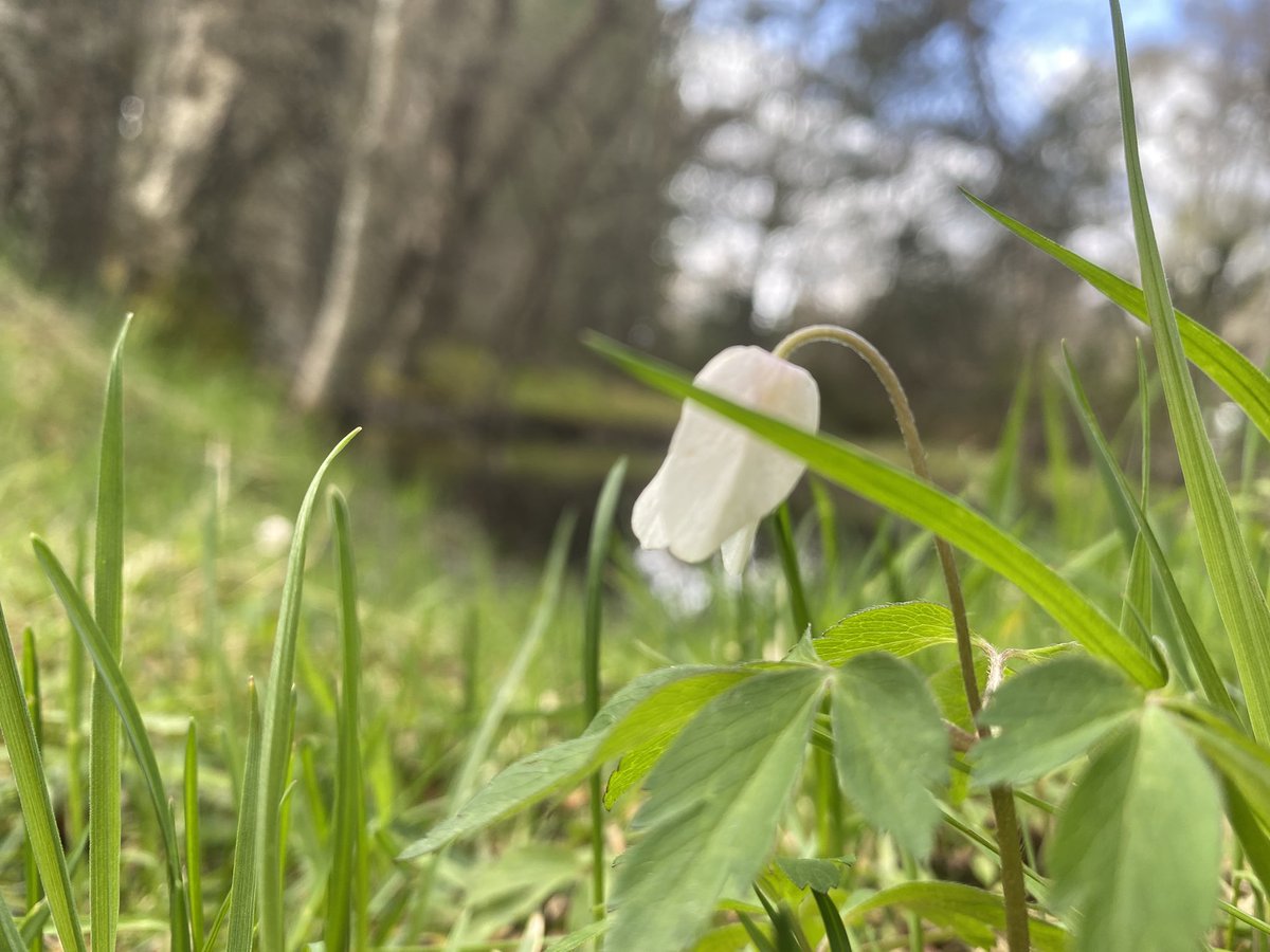 💀Holly 🖤 tweet media