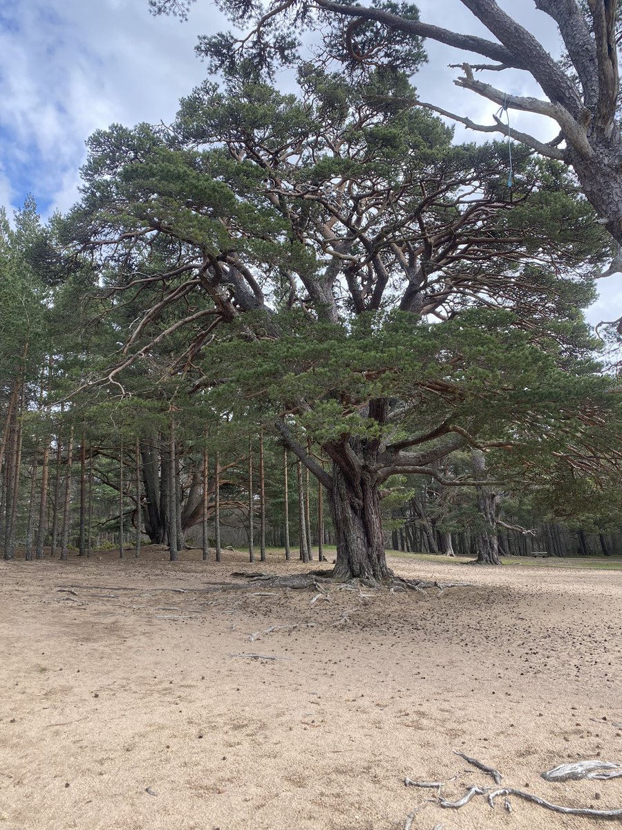 💀Holly 🖤 tweet media