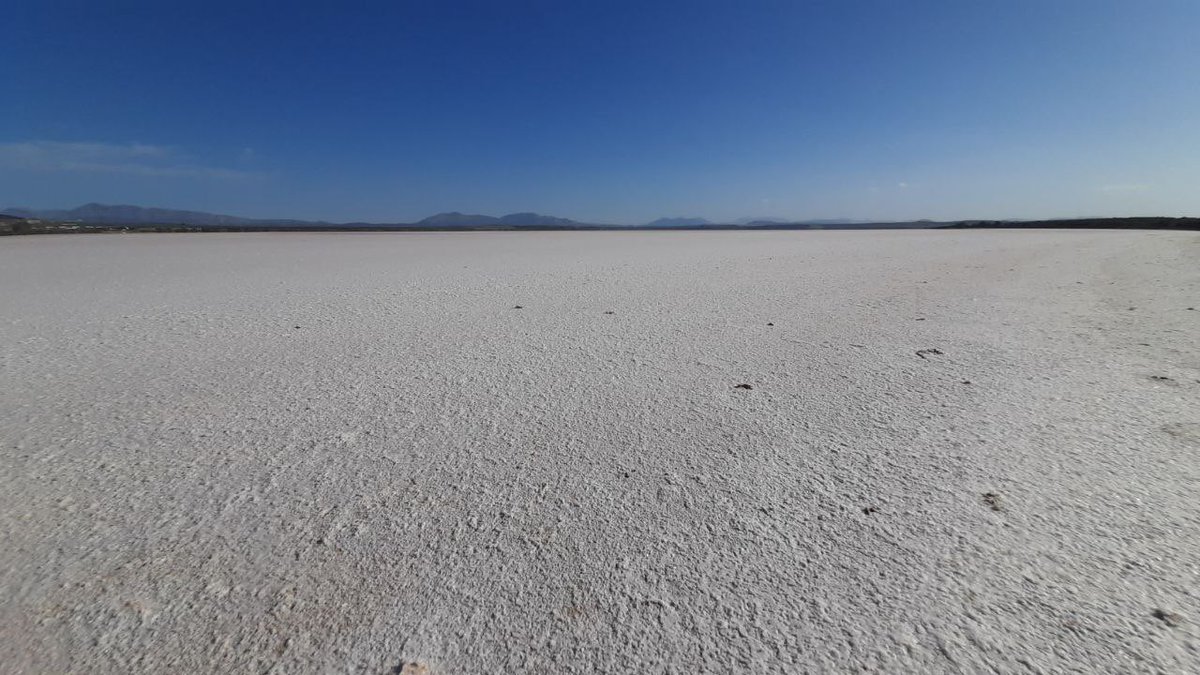 remeleivamoreno's tweet image. Esta es la Laguna de #FuentedePiedra, seca. Ahora solo es un mar de sal, sin flamencos.

En 2019 se aprobó la moción sobre #emergenciaclimática  en #mijas que presenté en pleno, por iniciativa de EeA y en estos 4 años no se ha llevado a cabo ni una medida.