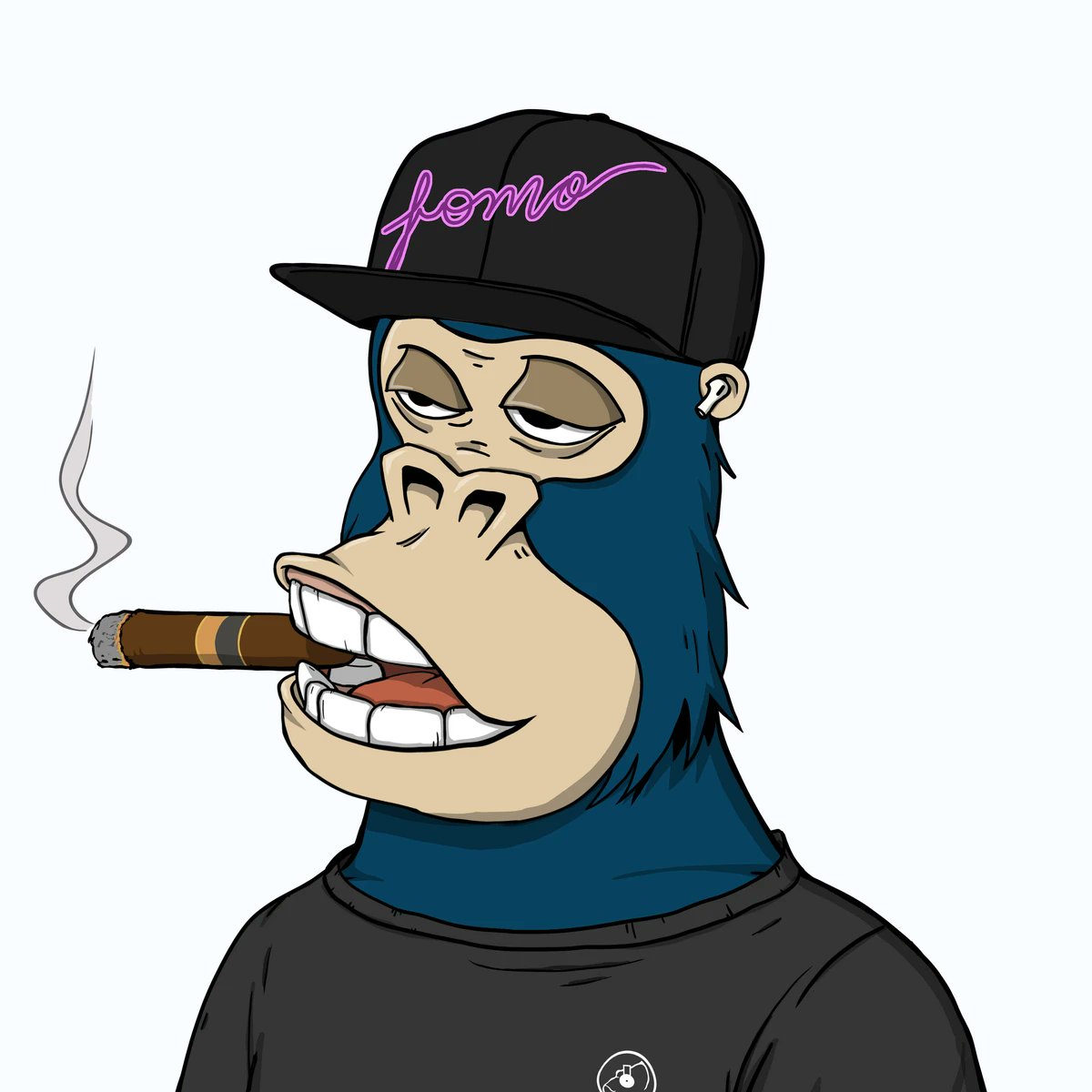 $Mr_Digital#2845 tweet media