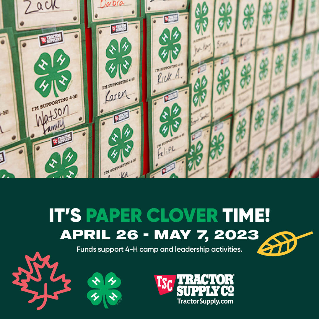 It's Paper Clover Time!! Stop by your local <a href="/TractorSupply/">Tractor Supply</a> for all your outdoor needs and purchase a 4-H Paper Clover to show your support for 4-H youth! 🍀