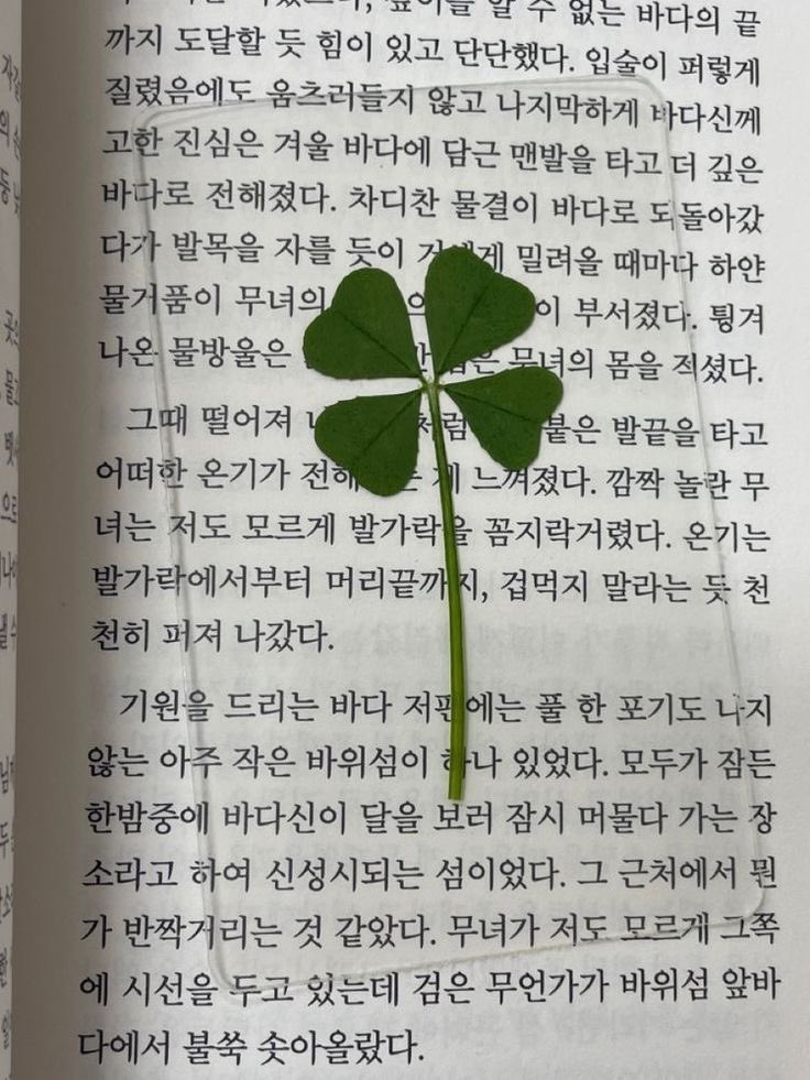 Ssg_udi's tweet photo. 네 입꼬리의 끝은 언제나 https://t.co/2V9hRlxkU1