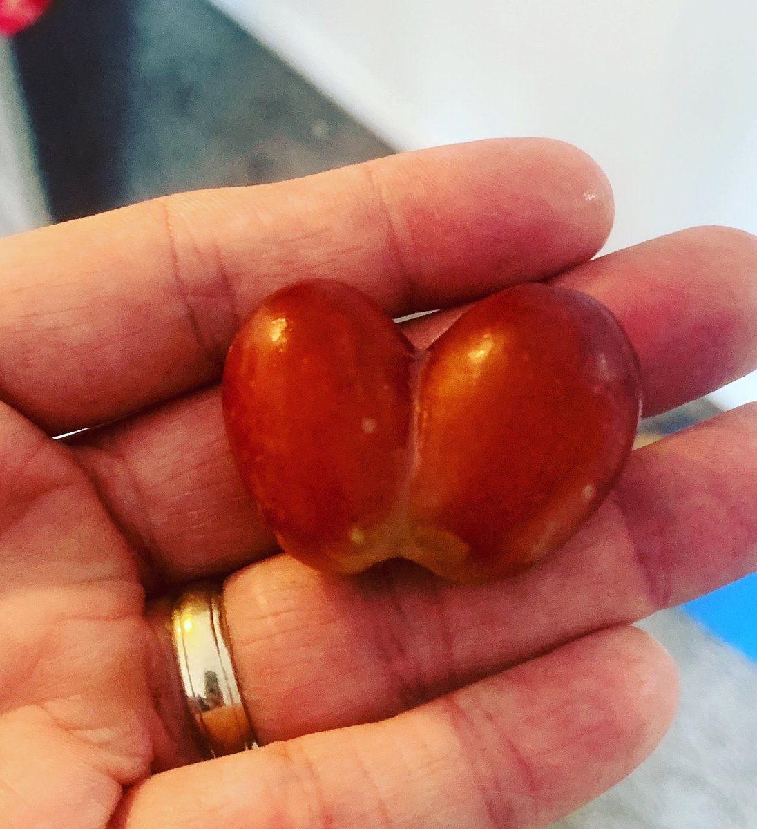 LewisCoombes's tweet photo. I don’t know how good your day has been, but… #doublegrape #grapeexpectations 🍇 🙌🏻🙌🏻 https://t.co/kzcuBWh2mM