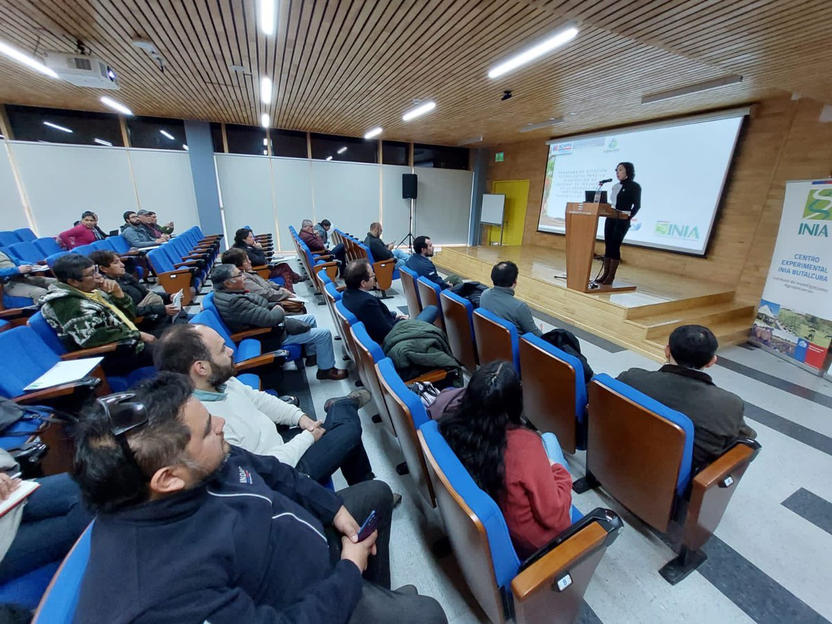 INOCUIDAD ALIMENTARIA 🥬
En Seminario lanzamiento del PDT “Programa de difusión tecnológica para la disminución de brechas de
inocuidad en la producción hortícola de la Provincia de Chiloé” ejecutado por <a href="/iniachile/">INIA Chile</a> con apoyo de <a href="/ACHIPIA/">ACHIPIA</a> y financiamiento de <a href="/CorfoLosLagos/">Corfo Los Lagos</a>