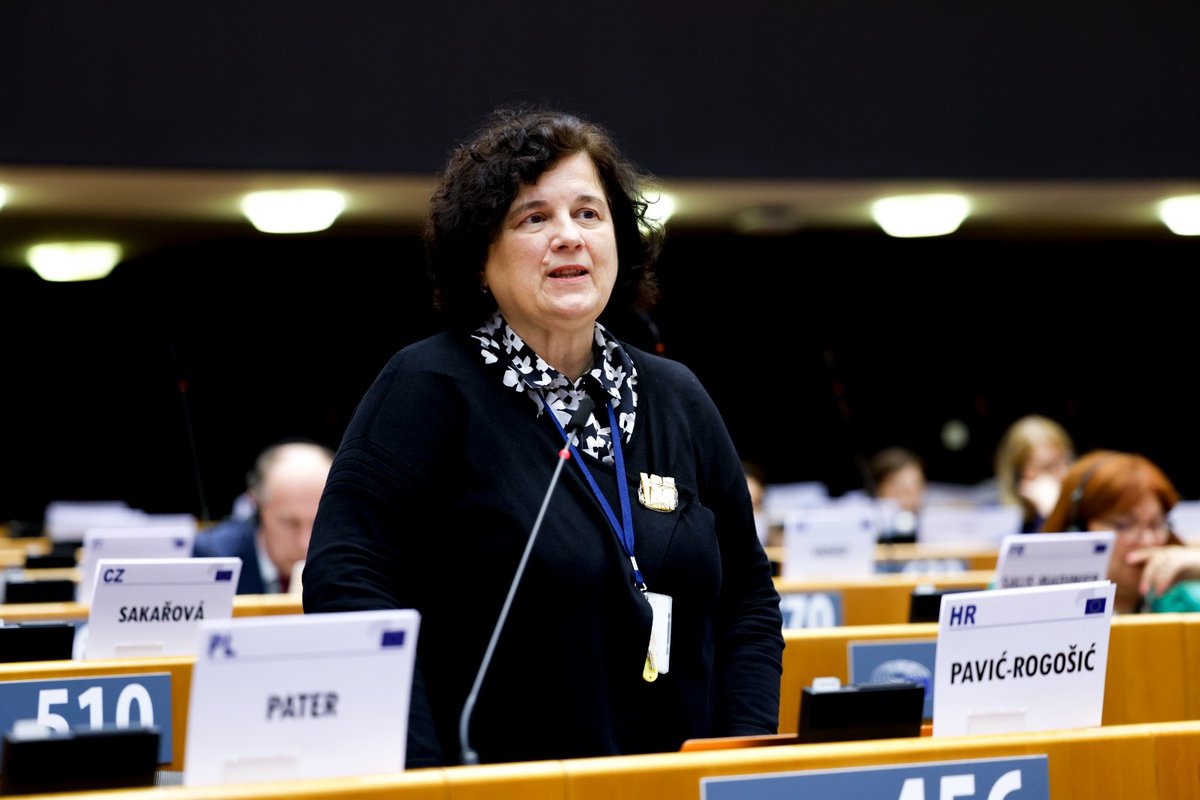 EESC_President's tweet photo. How will the EESC position itself as a Gateway between European and Accession Countries #CivilSocieties?
We will aid and empower their struggle for freedom, democracy, and closer integration.
In the #EnlargementProcess, we'll support them to upgrade their systems to🇪🇺standards. https://t.co/D00dPzQJJA