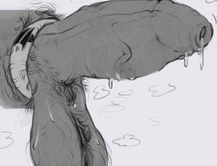 demon_wrestler's tweet photo. He’s been pent up for at least a whole week, you should be careful around him… https://t.co/l38SQrclzA