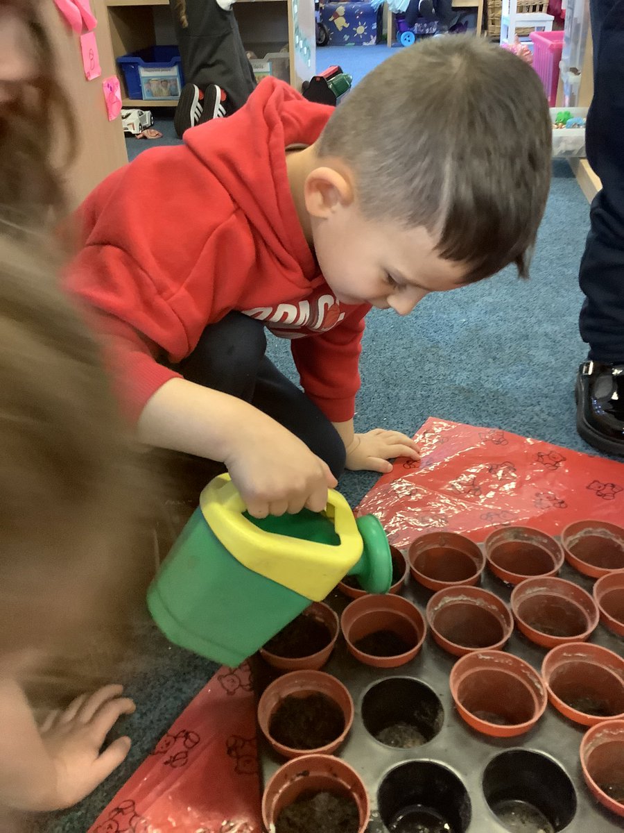 LangtonsInfant's tweet photo. Nursery’s topic this half term is…’I wonder what’s in our garden’. 
We have been exploring sunflowers and how they grow. We even planted our own! 🌻☀️ https://t.co/ic0e9UmNdg