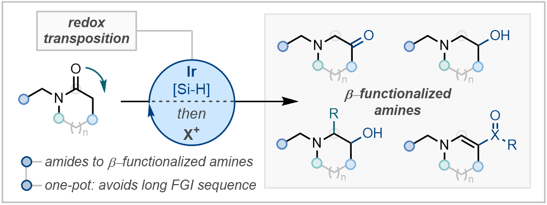 Redox Transpositions of Tertiary Amides - now online at ChemRxiv!

Oxidation states dance in our new reductive activation of amides to enable one-pot synthesis of beta-functionalized amines. 

Congratulations to <a href="/benshennan11/">benshennan1</a> and Sergio! 

chemrxiv.org/engage/chemrxi…
