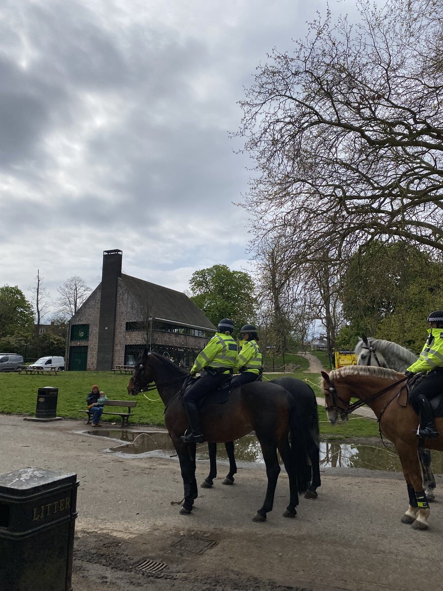 Crystal Palace tweet media