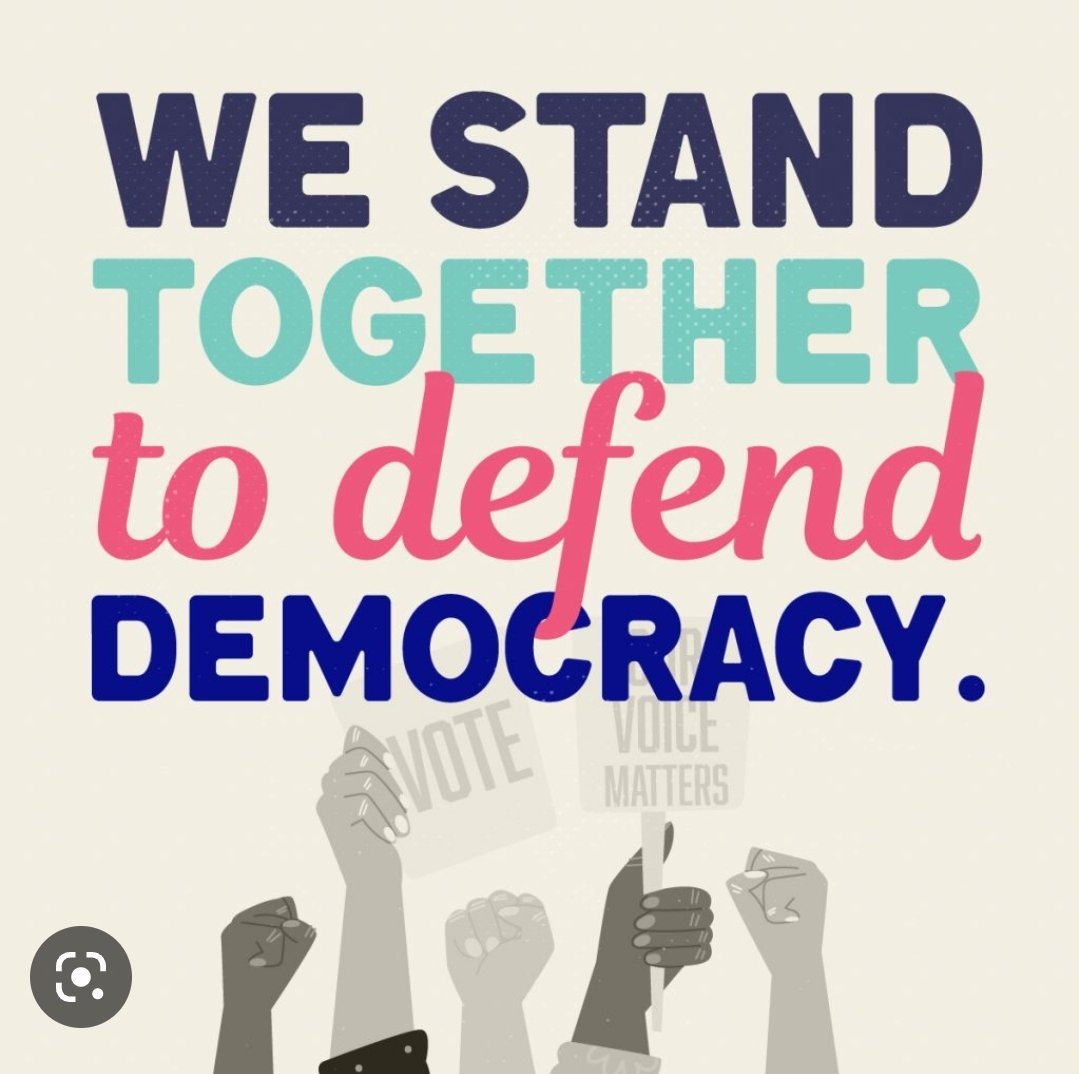 #democracy #vote #notonourwatch #werenotgonnatakeit #defenseofdemocracy #usa @_dofd @americansfordem @dofd_vets