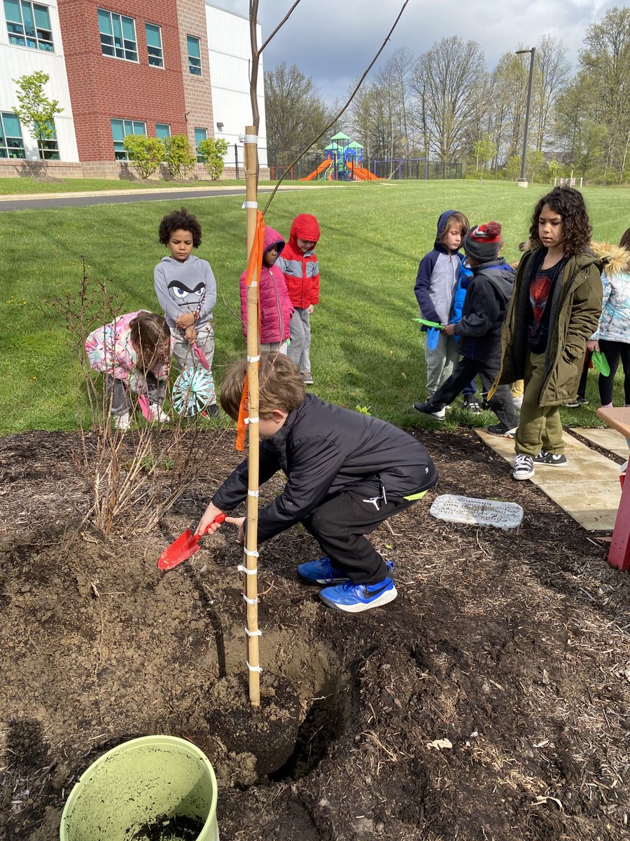 dmottice1's tweet photo. We planted two trees in Mrs. Garman’s garden today to celebrate Arbor Day which is this Friday! Thank you Mrs. Kennedy for all your help! 🌳 https://t.co/USJwheCwH5