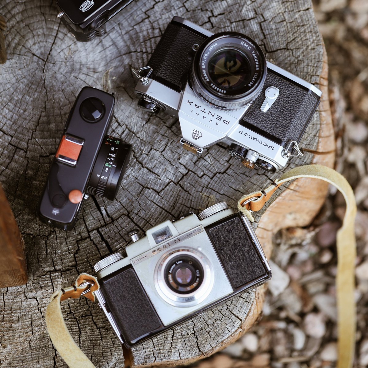 ArtisanObscura's tweet photo. Ivorywood adds the right amount of color 🤩#ArtisanObscura
#PutAButtonOnIt
#InspireYourCraft
#Ivorywood
#SoftReleaseButton
#HotShoeCover
#CameraAccessories
#ExoticWood
#CameraBling
#KonicaC35
#Pentax
#Kodak
#FilmCameraAccessories https://t.co/sBtHNu9YqV