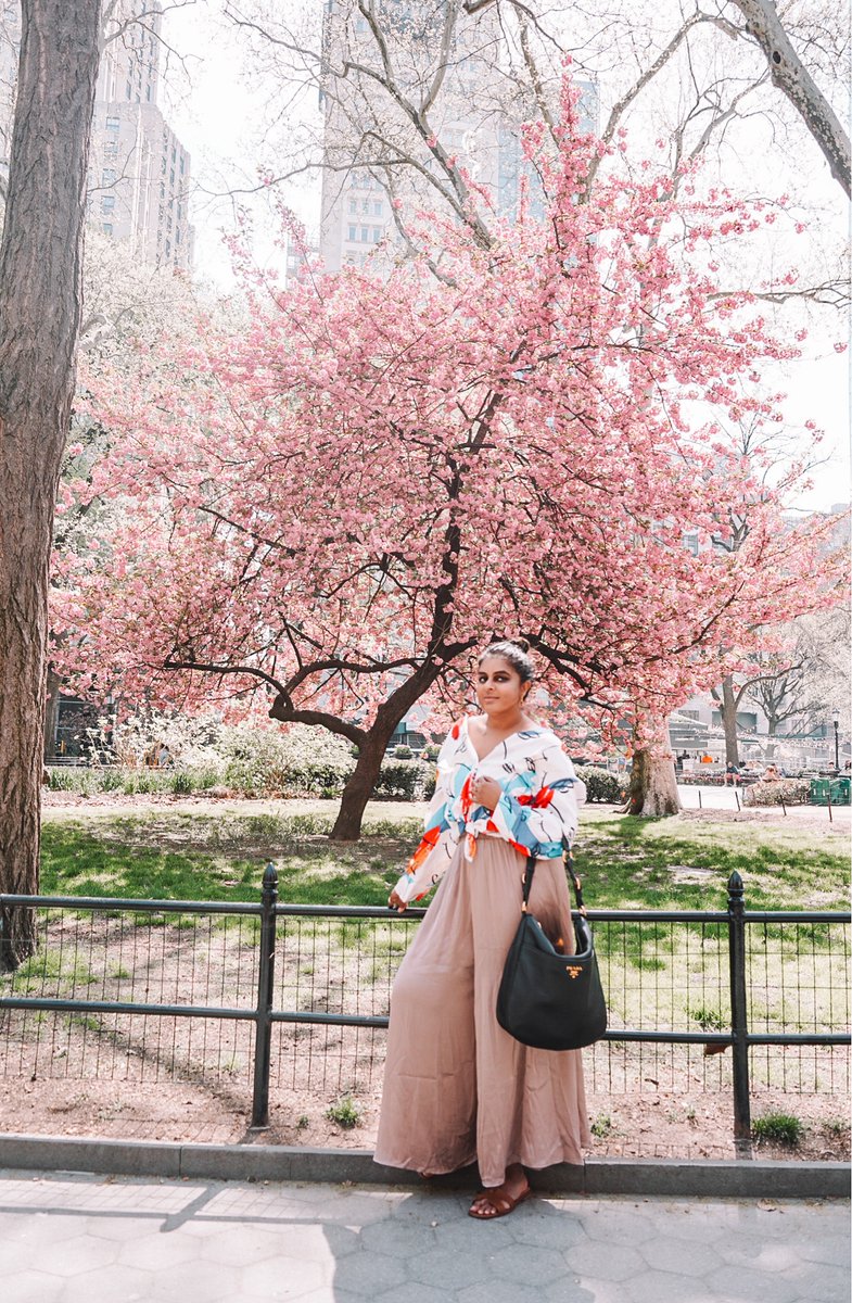 Amidst the hustle and bustle of the city, Madison Square Park blooms with vibrant hues of nature. A refreshing oasis in the heart of New York. 🌸🌷🌺 #newyork #madisonsquarepark #flowers