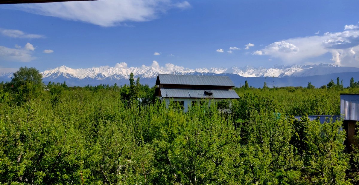 salarHQ's tweet image. #mesho version😼