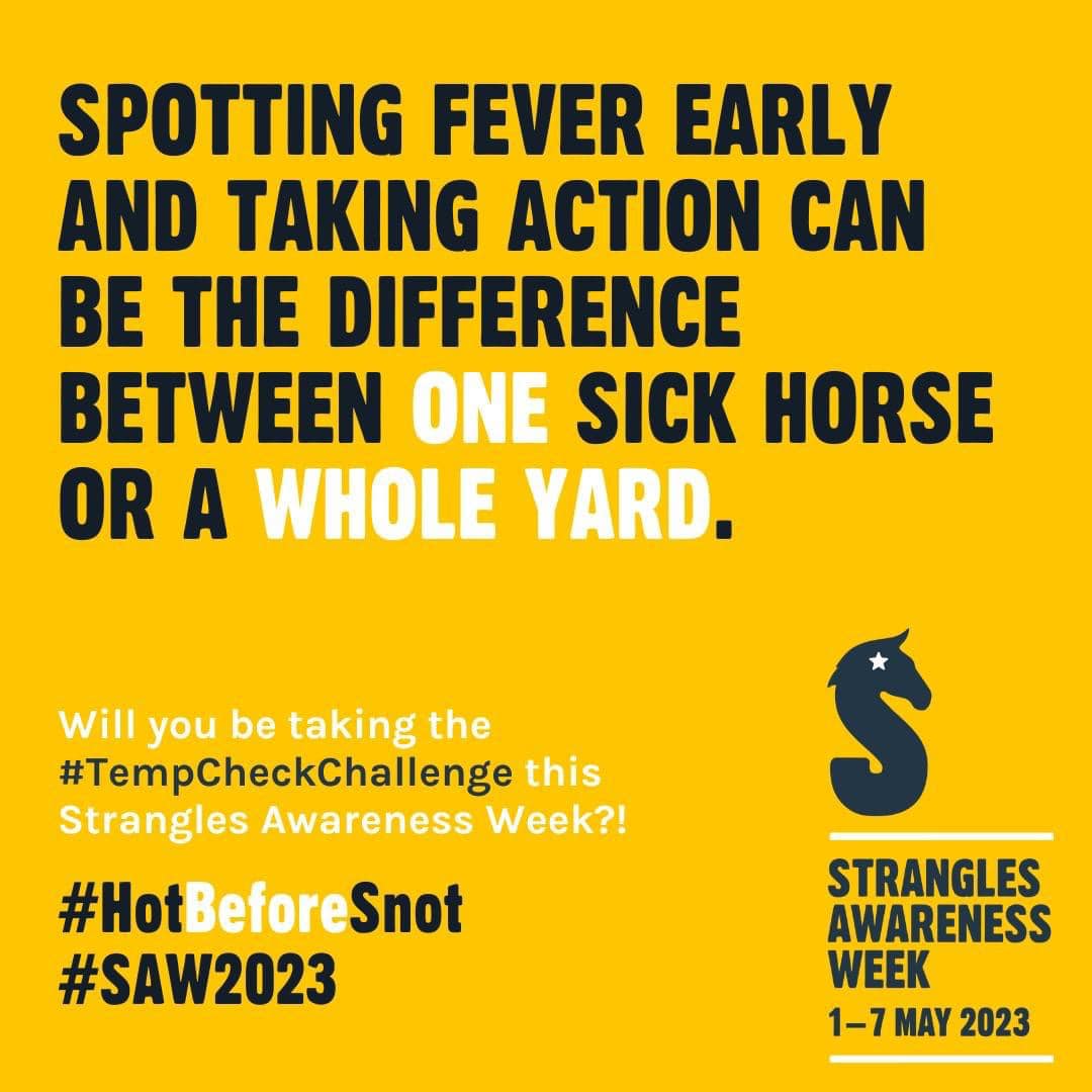 britishdressage's tweet image. It's @StranglesWeek, 1-7 May &amp;amp; we're supporting #tempcheckchallenge for #StranglesAwarenessWeek. Knowing your horse’s normal resting temperature &amp;amp; being able to spot a rise is a simple &amp;amp; an insight into your horse’s health &amp;amp; well-being.
More Strangles: bit.ly/strangles-awar…