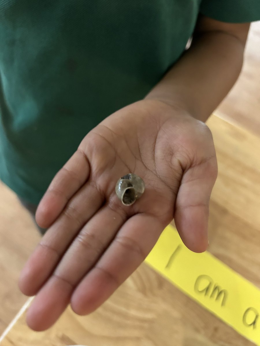 jaibb2n's tweet photo. Genuine inquiry starts from a curious child that leads to action! #curiousmind #inquiry #sharingtheplanet #unitinquiry #k2 #thinkingchild #learningthroughplay #eyfs https://t.co/SBPraea9gH