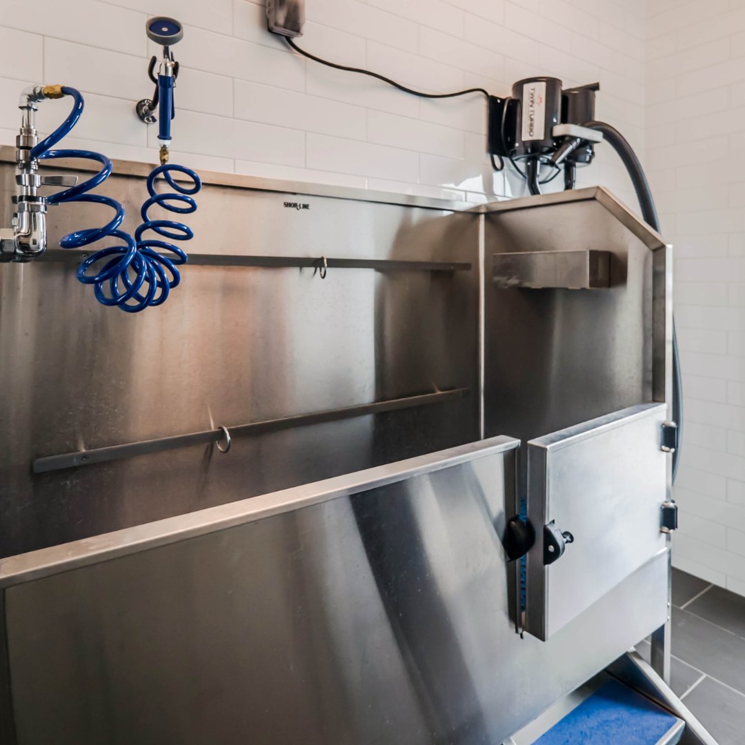 woodviewapt's tweet image. When your furry friends are in need of a spring cleaning of their own, our convenient onsite dog wash is here to make the job a little easier.

#woodviewdeerfield #lpcyoubelonghere #lpcmidwest #lincolnpropco #lpchometogether #lovewhereyoulive