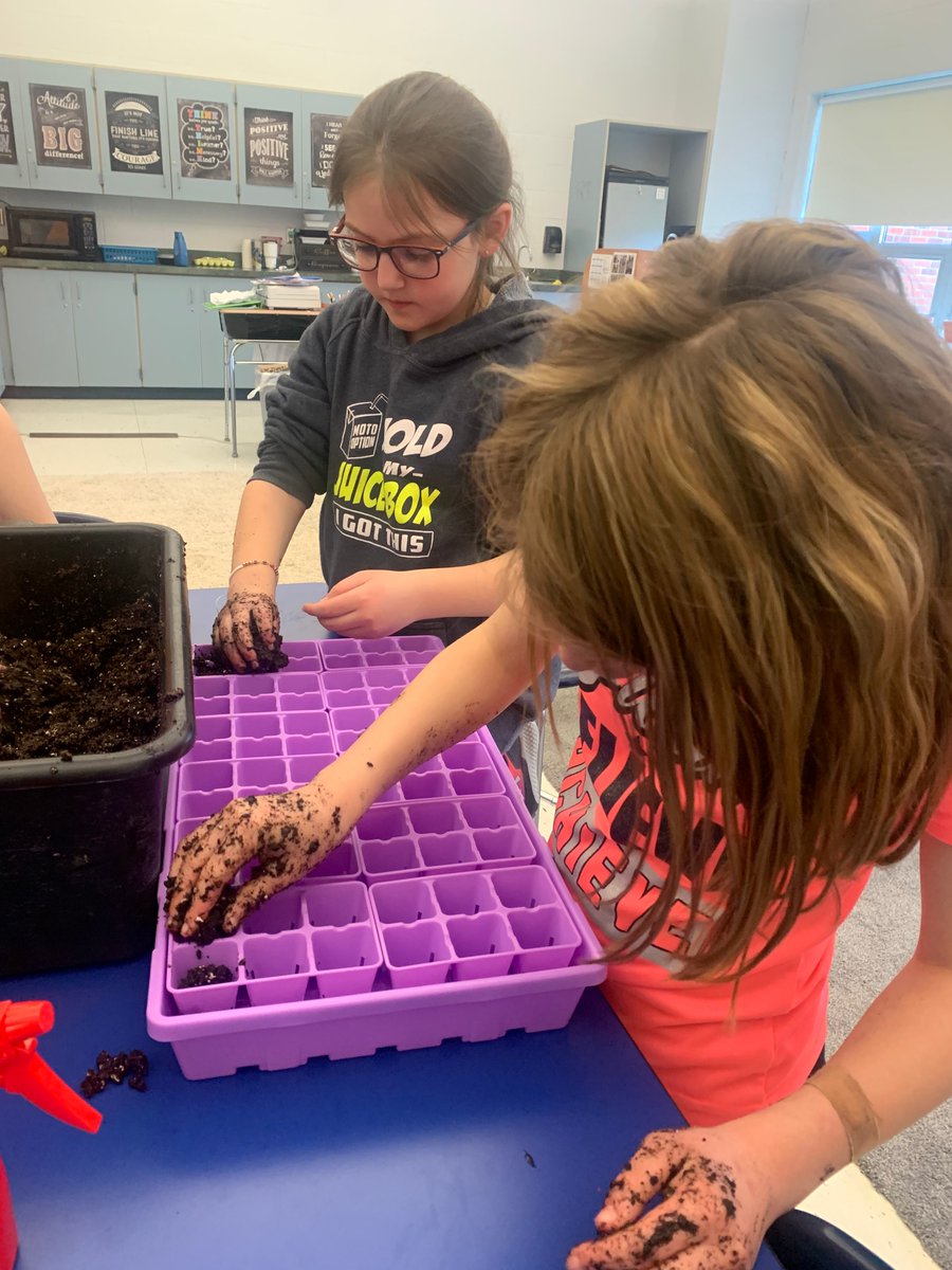 AtticaSchool's tweet photo. The club is made possible by the $100,000 Farm-to-School Grant the New York State Department of Agriculture and Markets awarded to #Attica Central School District in 2022.

Many thanks to @BootstrapFarmer and @JohnnySeeds  for their generous donations!

3/4 https://t.co/C6Az4eqUXj