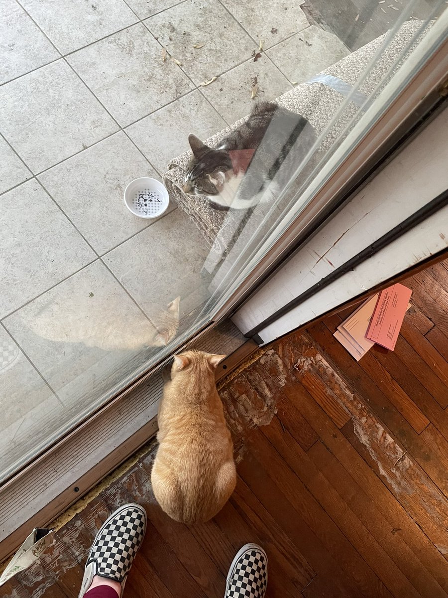 brileh_'s tweet photo. Fred is obsessed with our new outside bestie Blaine https://t.co/Wl2iIHj6fI
