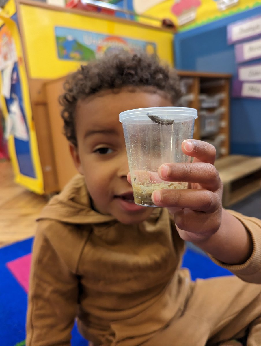 These creepy caterpillars are keeping Nursery curious! "They are going to get sooo fat like the hungry Caterpillar!!" 🐛🦋
