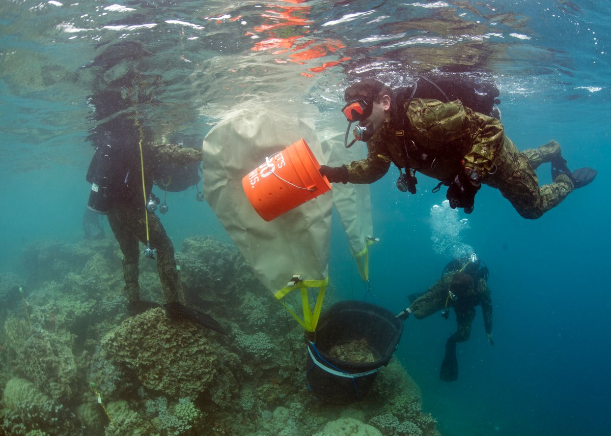 CMactual's tweet photo. Happy #EarthDay2023! Whether it's at sea, in the air, or on land, the U.S. military works hard to protect &amp; preserve the planet. And even during training, they prioritize clean-up &amp; restoration efforts. So today, we thank our #veterans for fighting for a greener future! 🌎🇺🇸 https://t.co/Ys7x3JhP03