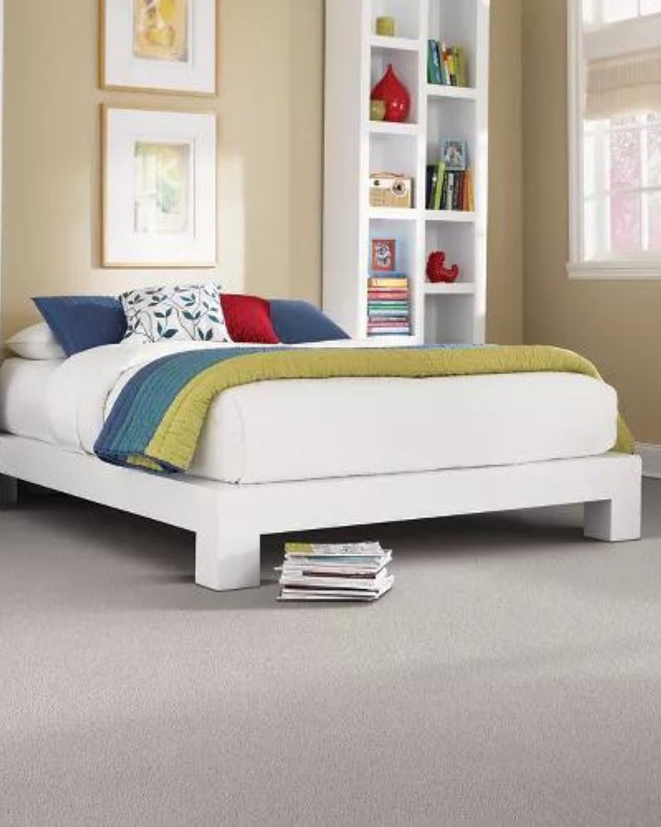 SJHWF's tweet photo. Treat your-shelf to some reading time and new carpet! 

Featured #Flooring: EverStrand Elegant Appeal I in Haze 

#EverStrand #Easyclean #soft #Mohawk #libraryweek #bookstagram #sustainable https://t.co/CfxyxOB9HE via MohawkFlooring