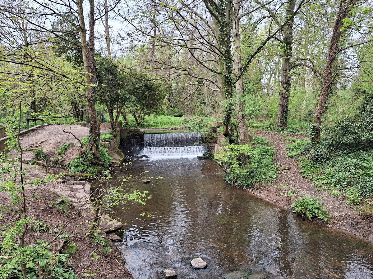 Ruth_Hawley's tweet photo. Thanks to Kirsten McEwan for talking to our students about #ForestBathing today &amp; for the experiential #ParkBathing session. A lovely addition to our considerations of green space &amp; blue space in Public &amp; Global Health and a welcome wellbeing space amongst study pressures. https://t.co/Gd3UgmDLRR