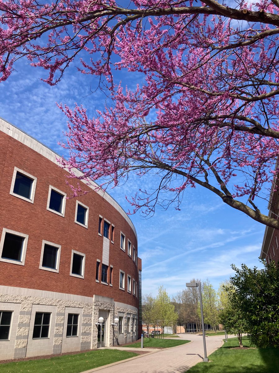 messiah_univ's tweet photo. Weβve never met a flower we donβt take a photo of πΈπ· #SpringAtMessiah https://t.co/CjfjufWNGN
