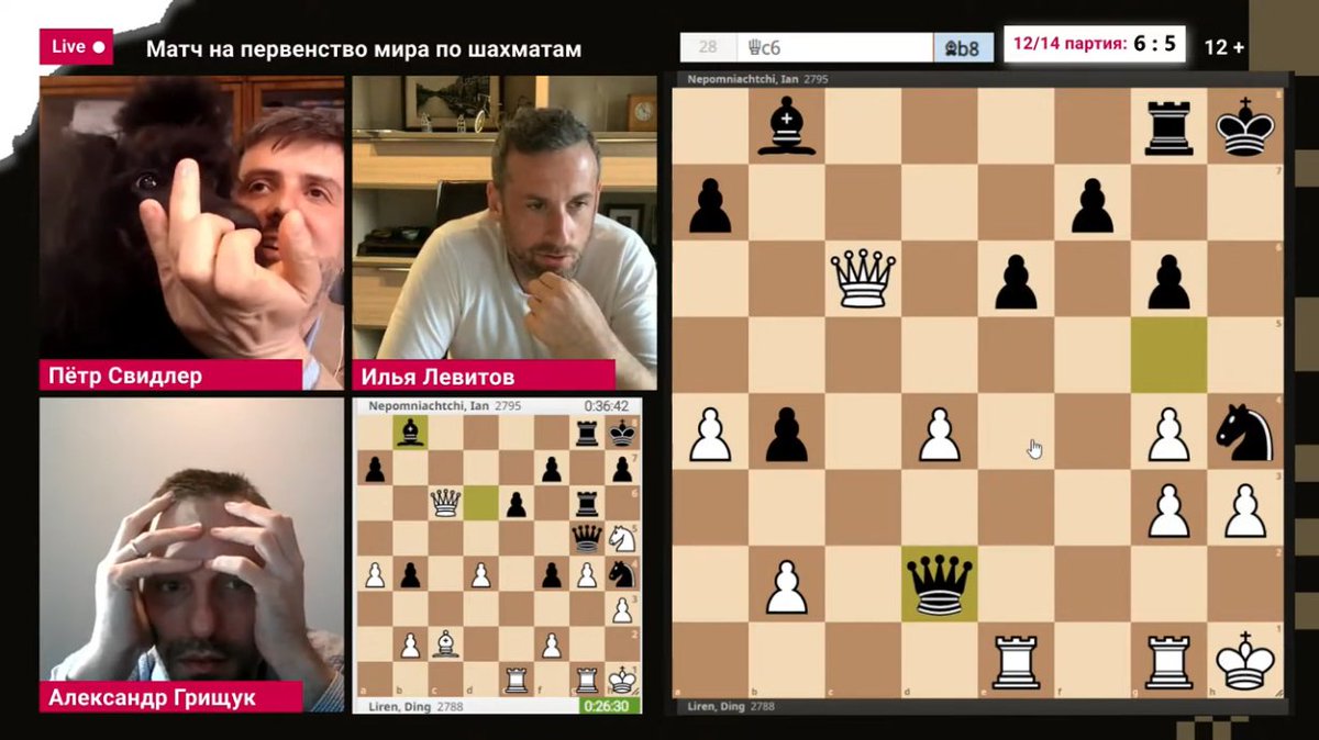 ChessGainz's tweet photo. Highlight of the Russian coverage of Game 12 of the WCC match on @LevitovChess 😂

Svidler: My dog is also concerned, here she is asking for some food
Levitov (host): Does your dog have a sense for the critical moments?
Svidler: Yeah
Grischuk: Unlike the players https://t.co/otXVVXvf2D