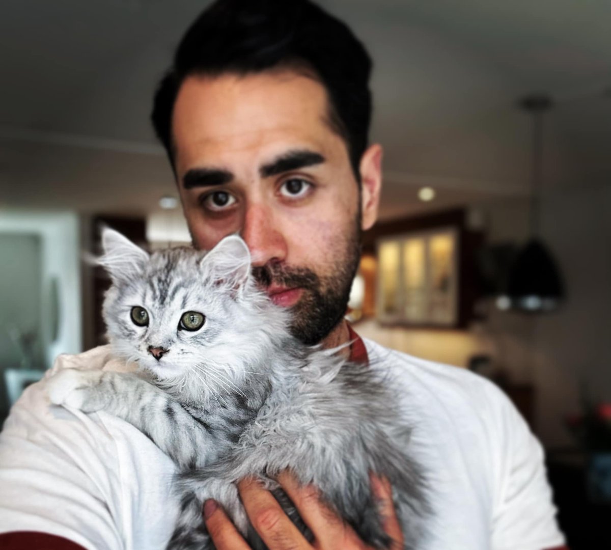 Mustafa Panshiri tweet media