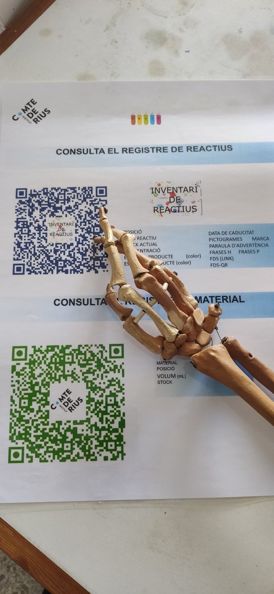 iaferre's tweet photo. L'Ambrosio del Laboratori de Ciències somriu! Que l'hi hem deixat el laboratori niquelat!
REACTIUS STYLE: QUAN L'EMMAGATZEMATGE ES REVOLUCIONA
Un repte Titani-c (broma de químics👩🏻🔬👨🔬😂)
Ens hem presentat al Premi @impulsfp
#encendrefocacasaisortircorrens #somcomtederius https://t.co/z0PTRWg2C0