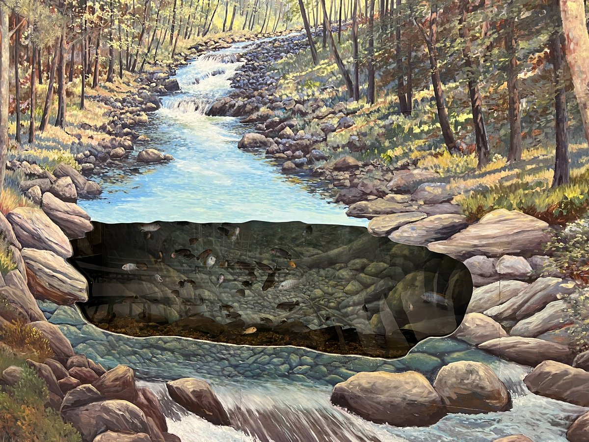 Dr. Todd Keruskin on Twitter "Happening Now School visits at the