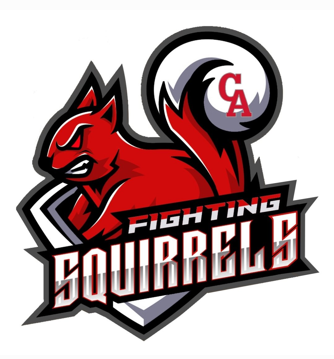 Hey there, Doc <a href="/Prof_Koberstein/">Dr. Nicholas Koberstein</a> ! You ask, and Mr. Sutter delivers. I don't hate it and we know there are a bazillion squirrels in Canandaigua!