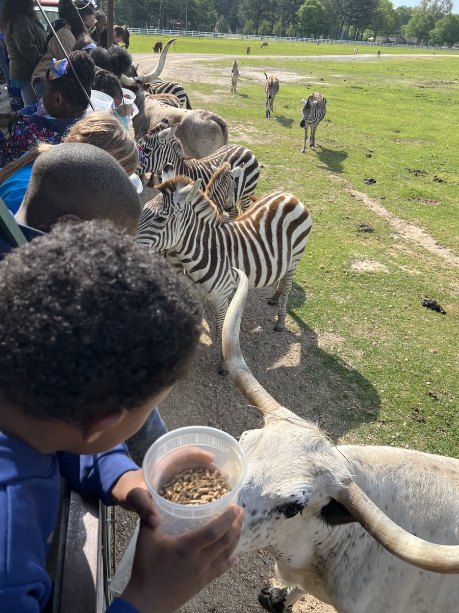 FairElementary's tweet photo. 2nd graders are all smiles this morning on their field trip. #safarifun https://t.co/V1r82VRG6e