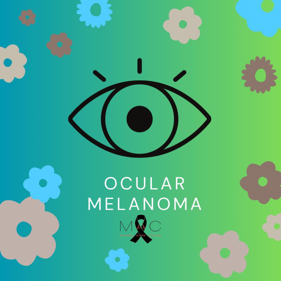 MelanomaAction's tweet image. Ocular melanoma - the most common type of eye cancer, begins in melanocytes in the eyes
Although it can develop anywhere in the eye, ocular melanoma usually develops in the eyeball’s middle layer (uvea). The uvea is below the white layer of the eye (sclera) and contains the iris