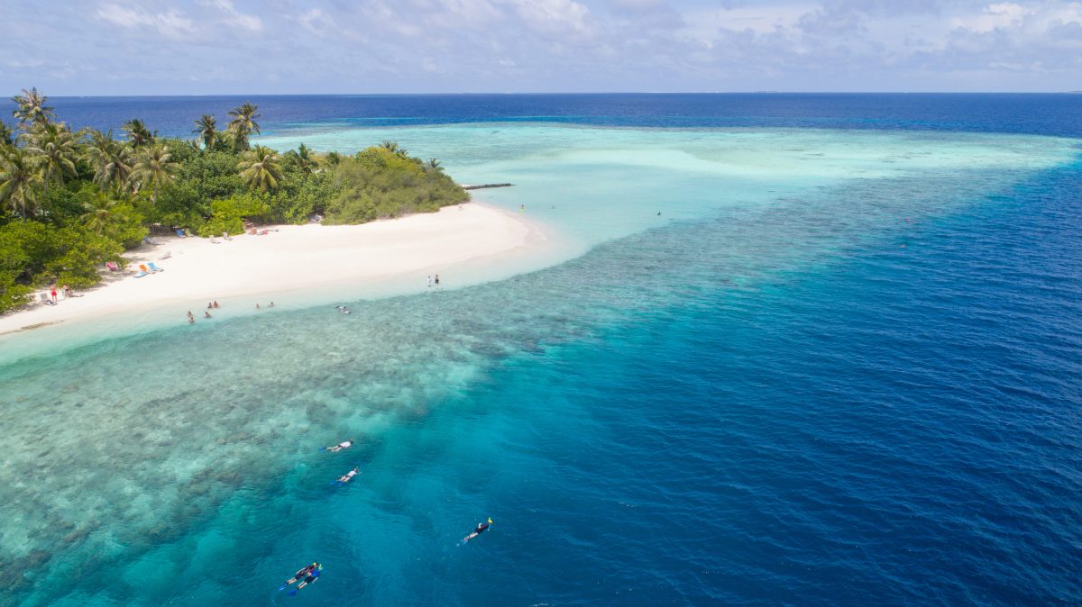 Kaimoo Resorts and Hotels Partnering with Maldives Coral Institute for Coral Festival 2023

mymaldives.net/kaimoo-resorts…