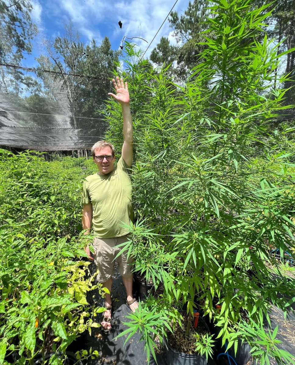RootSource Media (@SouthHempExpo) / Posts / X