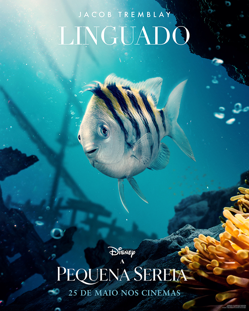 linguado\, image size:800x1000