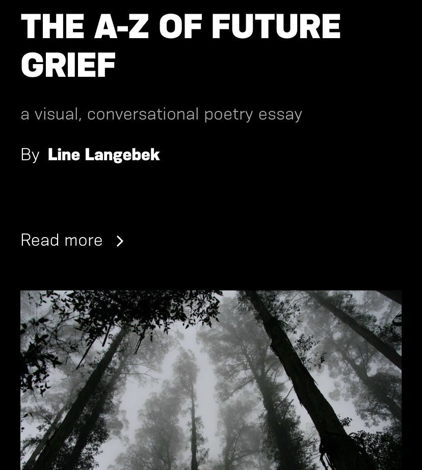 Dissonant Futures Collective tweet media