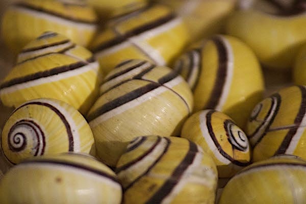 OnlyInfluencers tweet media