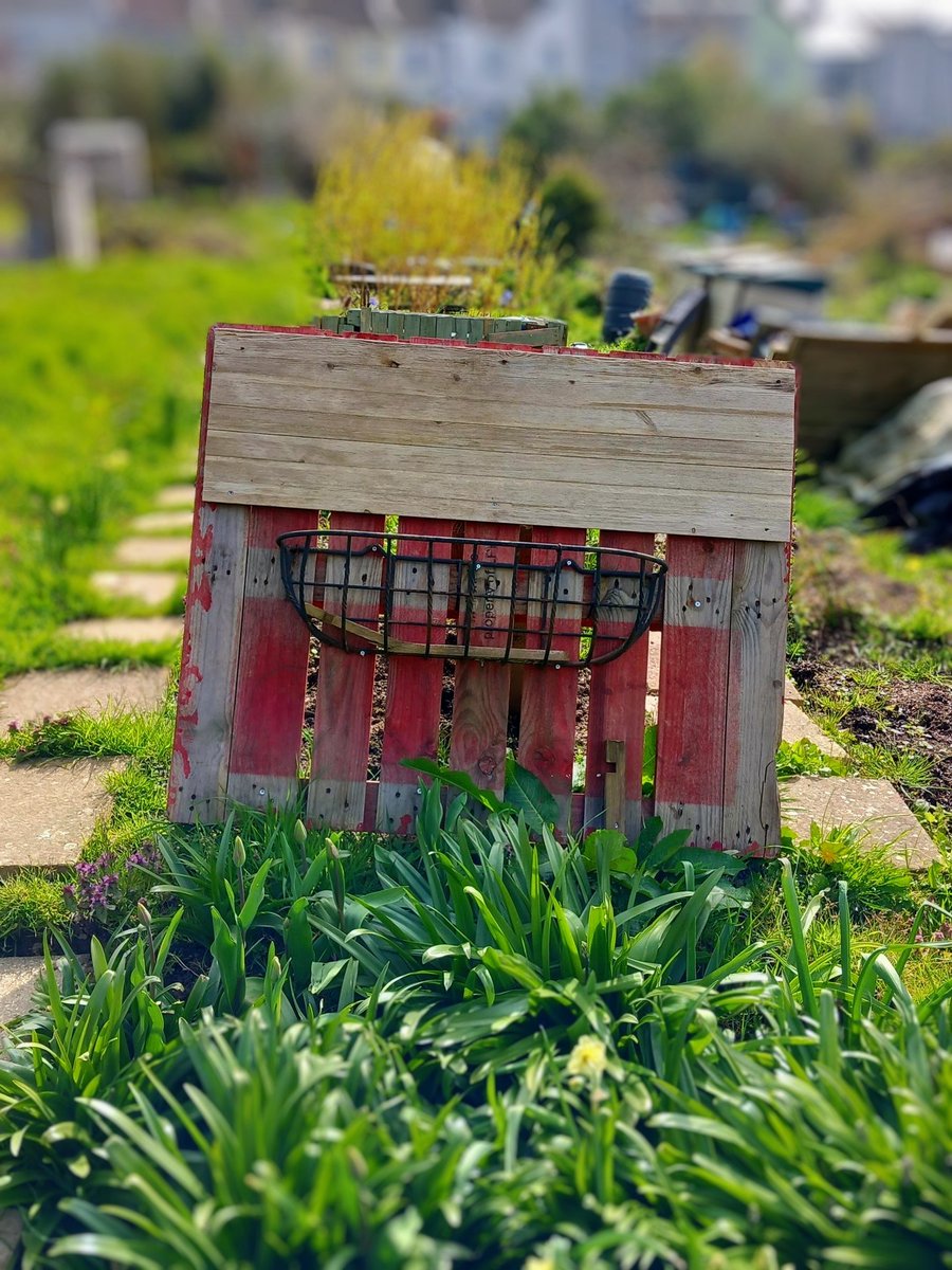 Recycling at the FIG allotment project, enjoying the sunshine in #Hastings #mentalhealth #recovery #rehab #OT #recoverythroughactivity 
<a href="/AmberstoneAr/">AmberstoneAR</a>