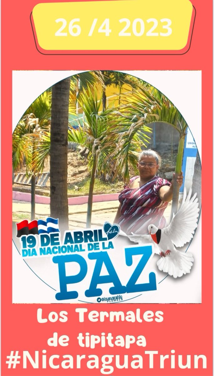 Isabel Solorzano (@isabelandrea64) on Twitter photo 