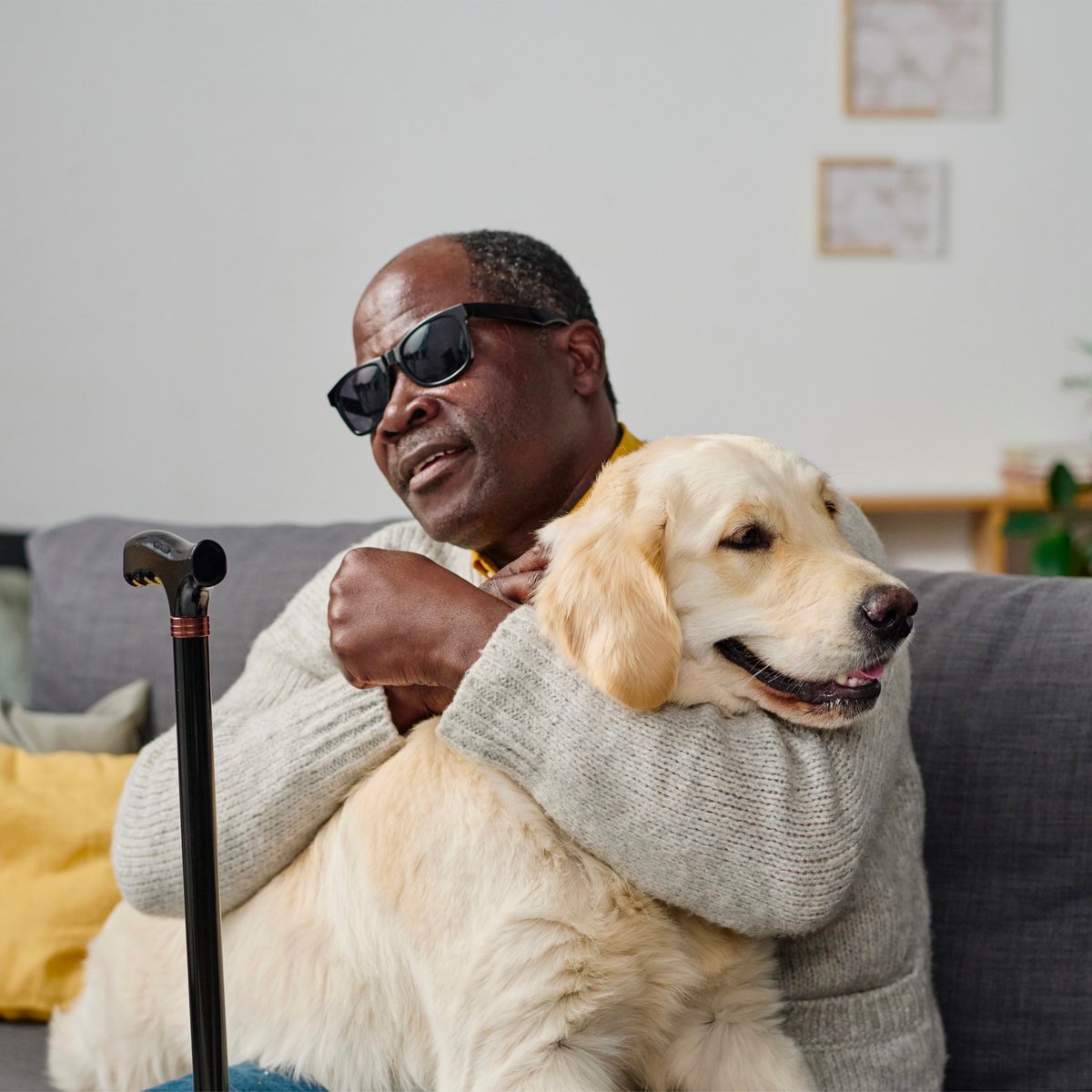 Today, on International Guide Dog Day, we celebrate and honor the incredible bond between humans and their devoted 4-legged companions who tirelessly serve as their eyes, ears, and steadfast partners in navigating the world!
#GuideDogs #GuideDogTeams #AssistanceDogs #ServiceDogs